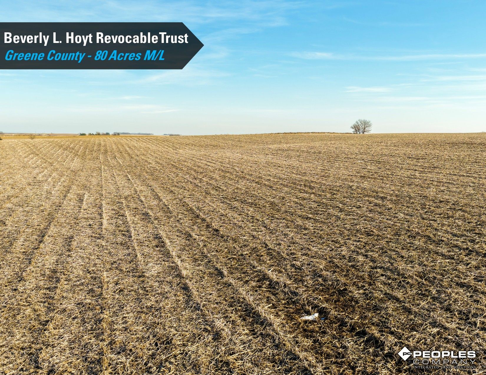 Listing Photo: Hoyt-Trust-Greene-County-Iowa-80Acres-Scranton-18837 (13)